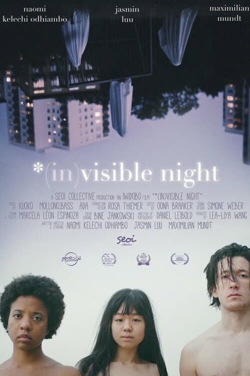 Постер: *(In)Visible Night