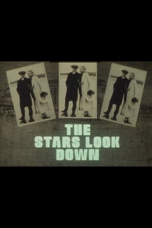 Постер: The Stars Look Down