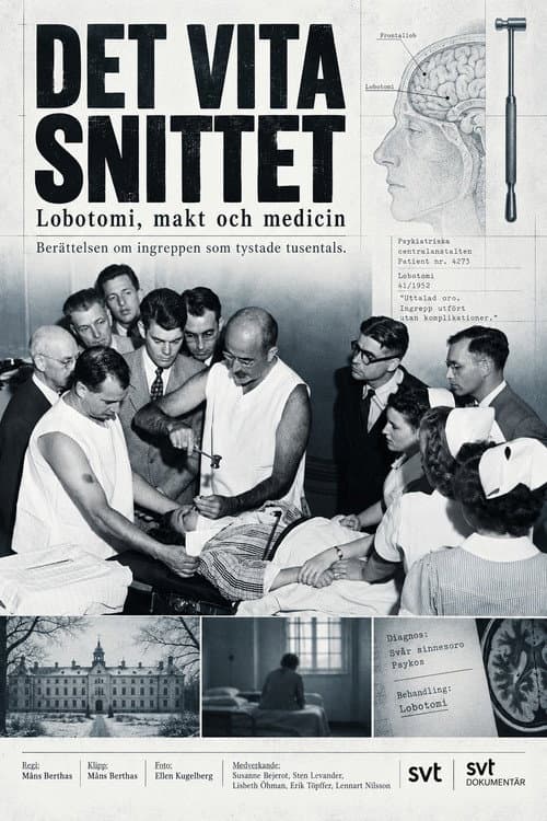 Постер: Det vita snittet
