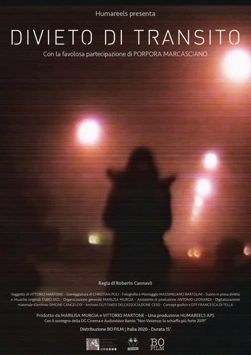 Постер: Divieto di transito