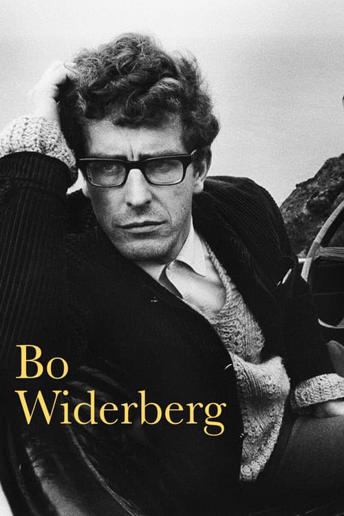 Постер: Bo Widerberg