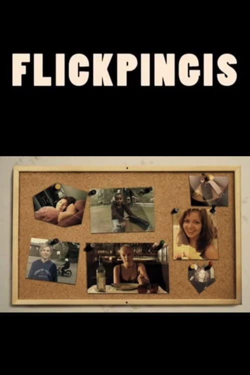 Постер: Flickpingis