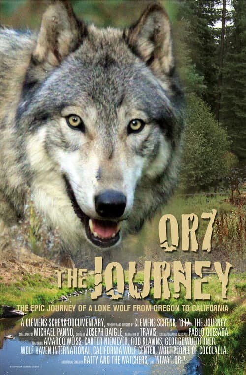 Постер: Or7: The Journey
