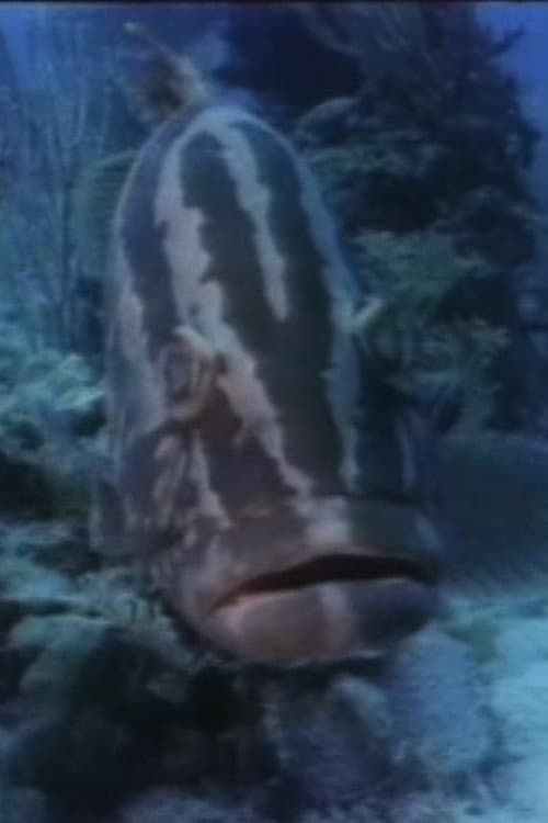 Постер: The Living Sea