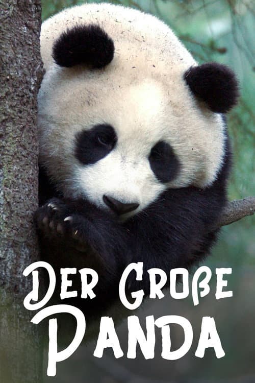 Постер: Der Große Panda