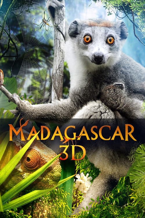 Постер: Madagascar 3D