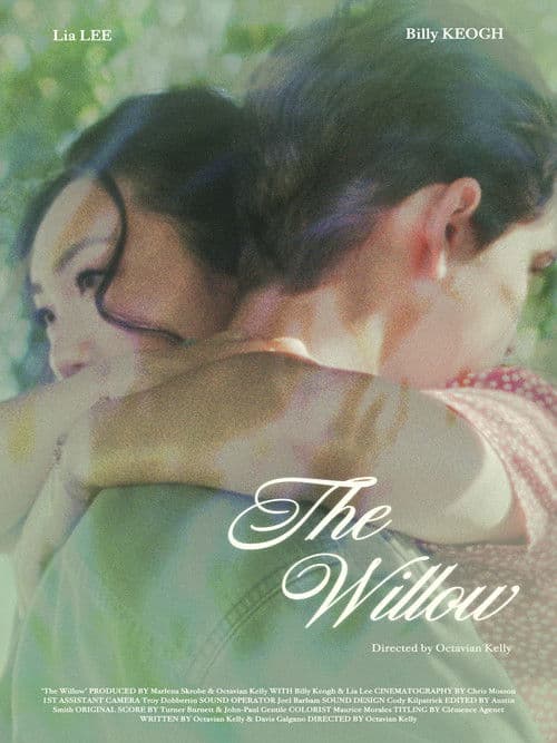 Постер: The Willow