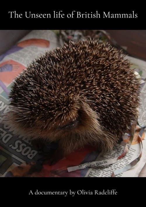 Постер: The Unseen life of British Mammals