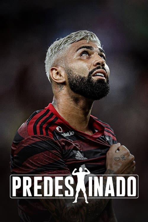 Постер: Predestinado