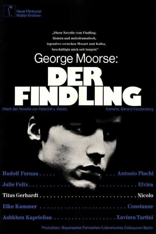 Постер: Der Findling
