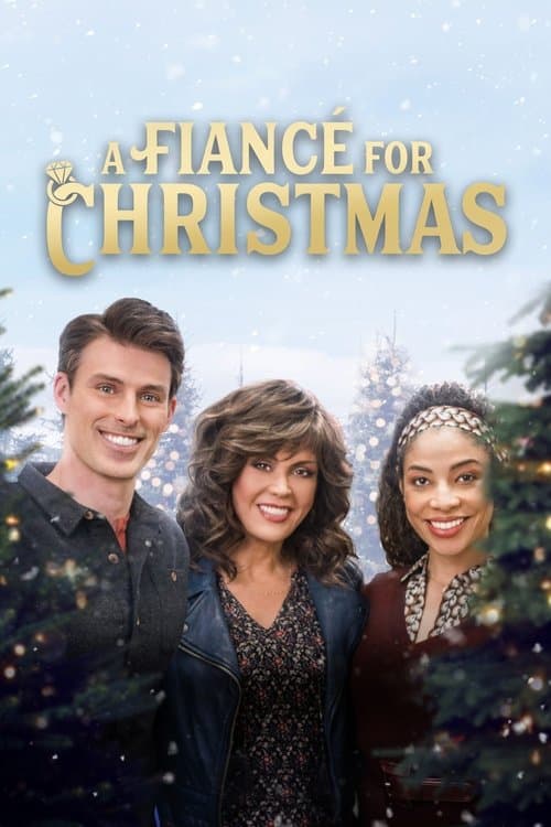 Постер: A Fiancé for Christmas