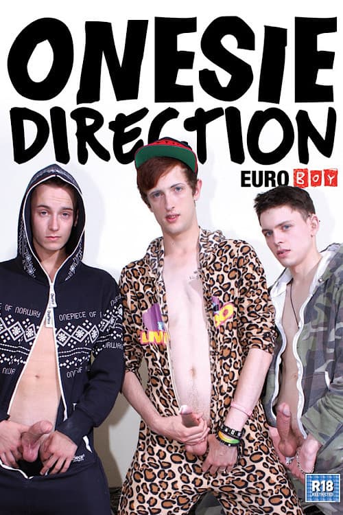 Постер: Onesie Direction