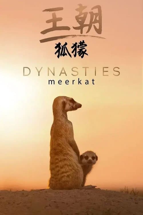 Постер: 王朝:狐獴特辑