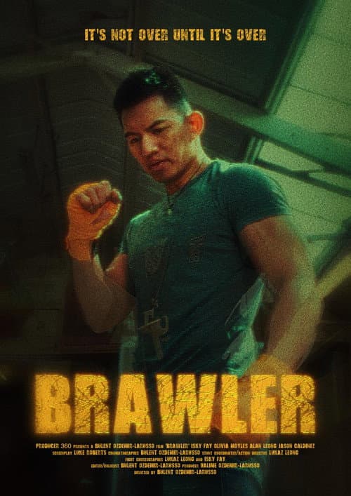 Постер: Brawler