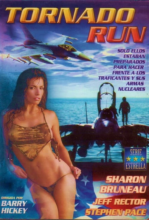 Постер: Tornado Run