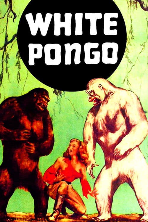 Постер: White Pongo