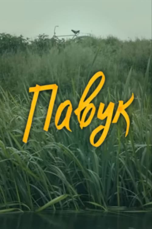 Постер: DZIDZIO: Павук