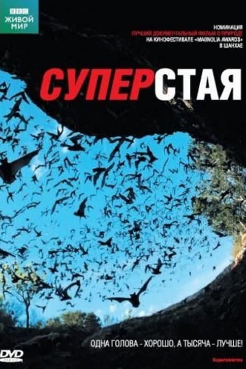 Постер: Суперстая
