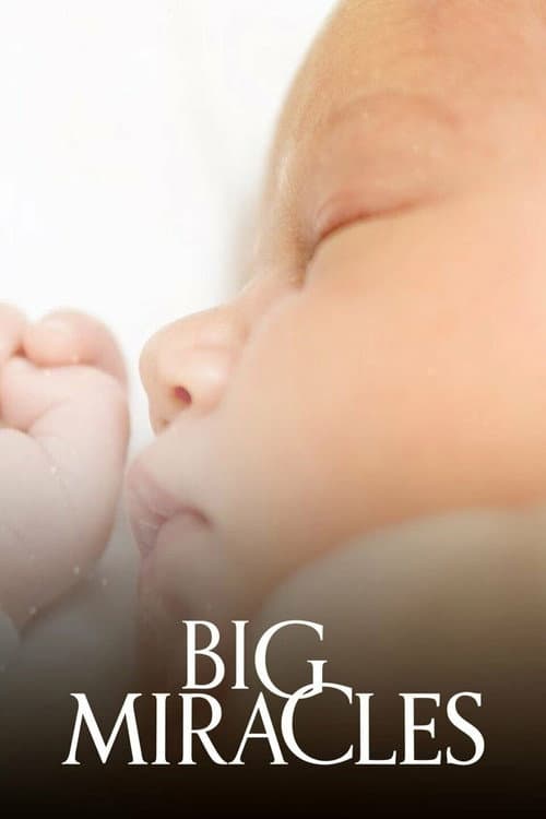 Постер: Big Miracles