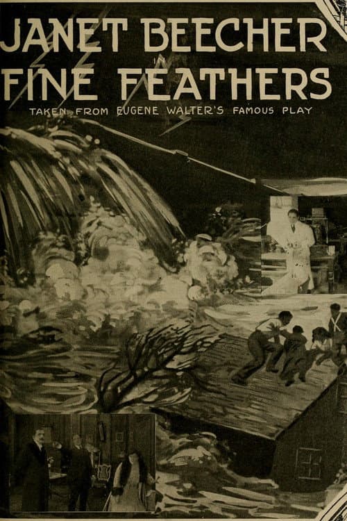 Постер: Fine Feathers