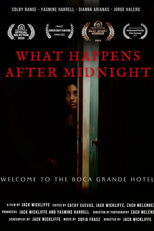 Постер: What Happens After Midnight
