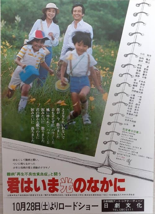 Постер: 難病「再生不良貧血性」と闘う 君はいま光のなかに