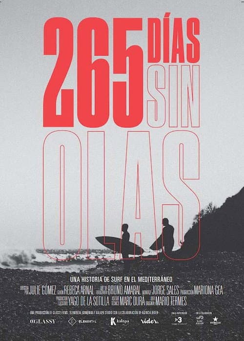 Постер: 265 dies sense onades