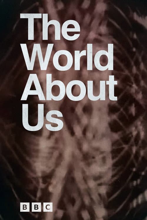 Постер: The World About Us