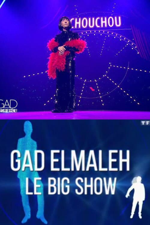 Постер: Gad Elmaleh - Le Big Show