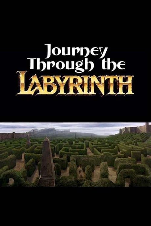 Постер: Journey Through the Labyrinth