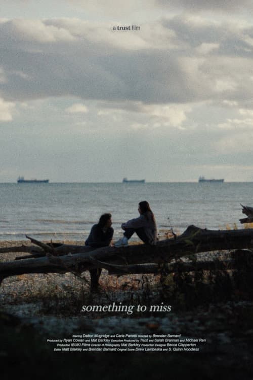 Постер: Something to Miss