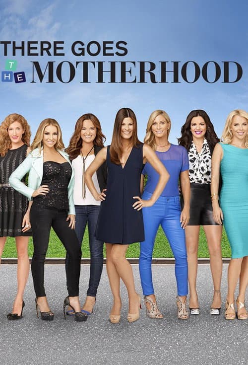 Постер: There Goes the Motherhood