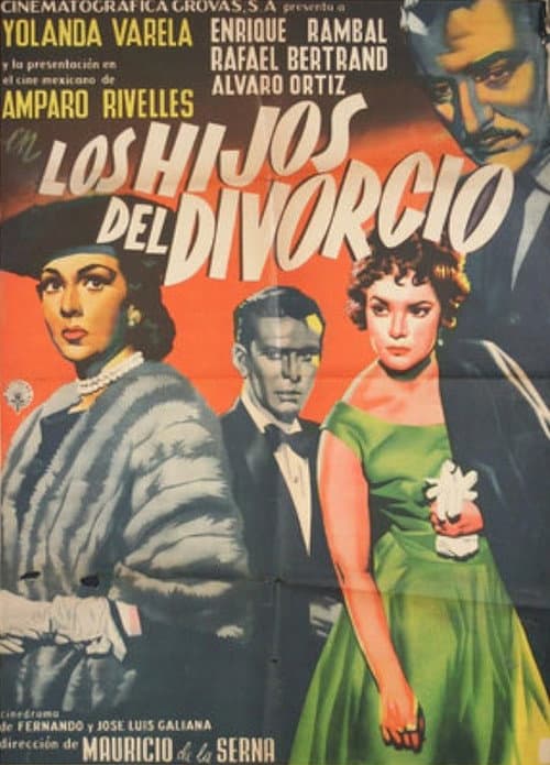 Постер: Los hijos del divorcio