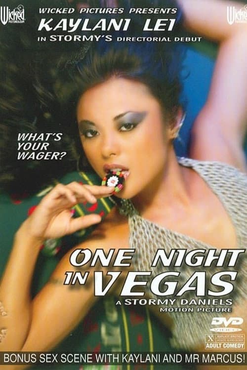 Постер: One Night in Vegas