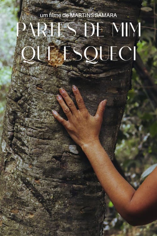 Постер: Partes de Mim que Esqueci
