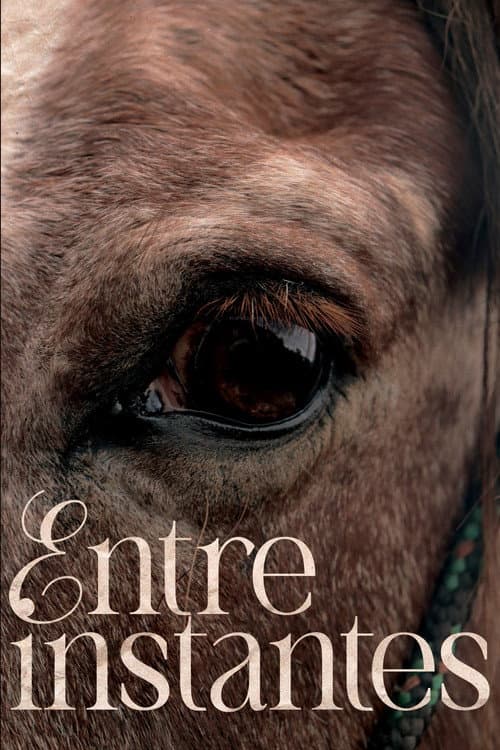 Постер: Entre Instantes