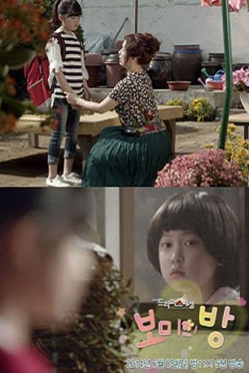 Постер: 보미의 방