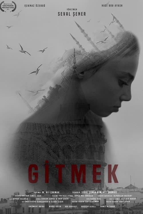 Постер: Gitmek