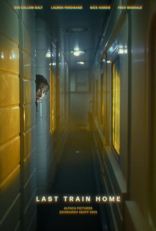 Постер: Last Train Home