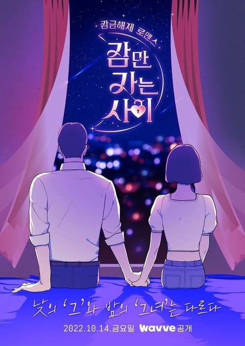 Постер: 잠만 자는 사이