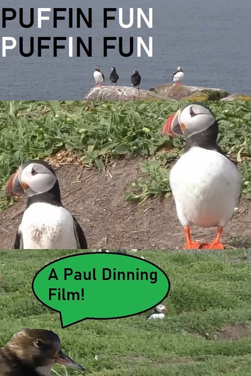 Постер: Puffin Fun