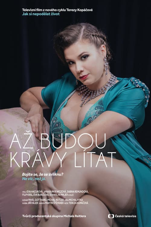 Постер: Jak si nepodělat život