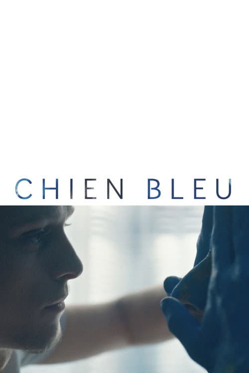 Постер: Chien bleu