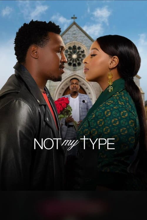 Постер: Not My Type