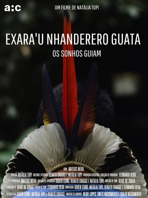 Постер: Os Sonhos Guiam