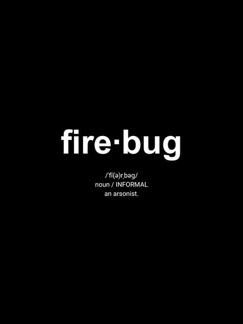Постер: Firebug