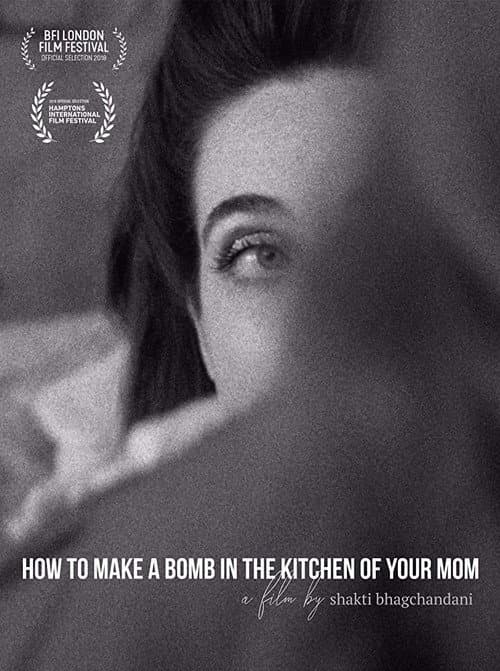Постер: How to Make a Bomb in the Kitchen of Your Mom