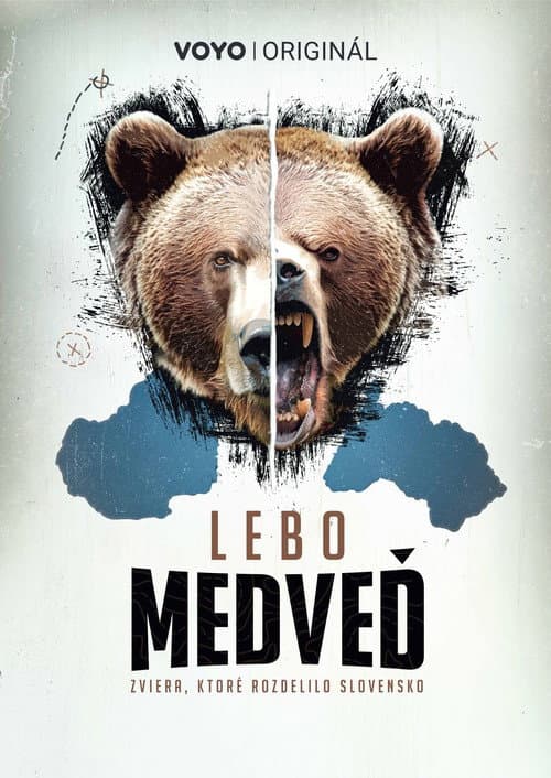 Постер: Lebo medveď