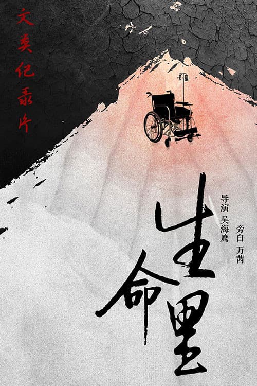 Постер: 生命里