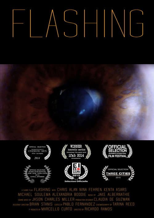 Постер: Flashing